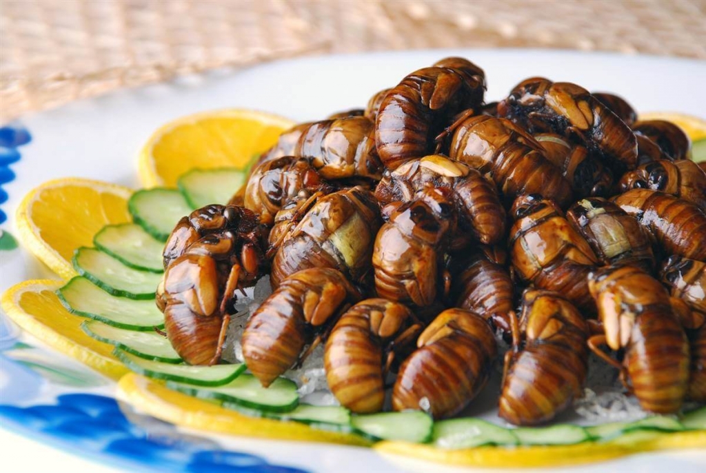 Тараканы, саранча, скорпионы и прочая вкуснятина | Турагентство TUI - Туры  и путевки в Таиланд, Хайнань, Вьетнам, отдых из Хабаровска 2019