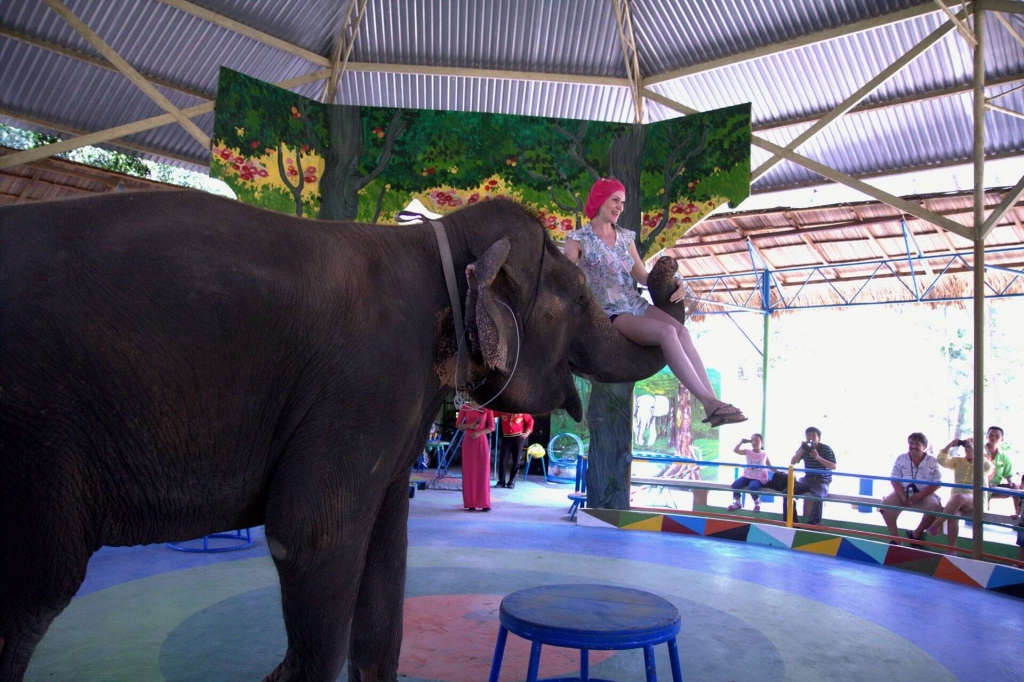представление слонов во Вьетнаме Парк Янг Бей