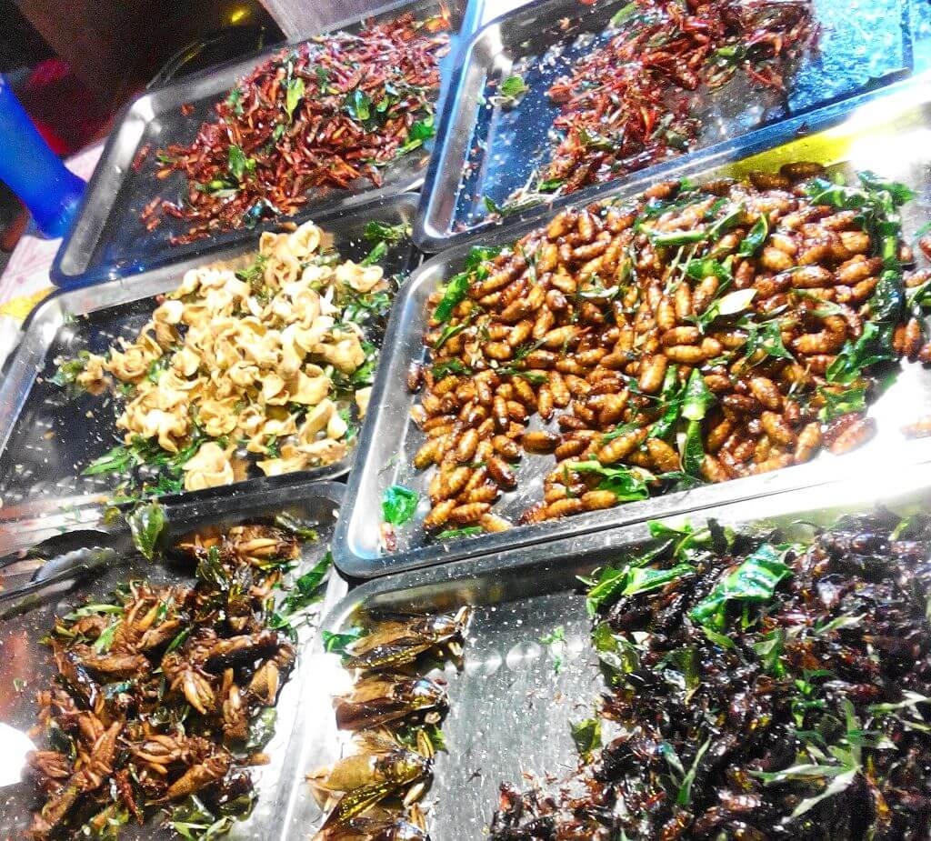 жуки на прилавке в Таиланде