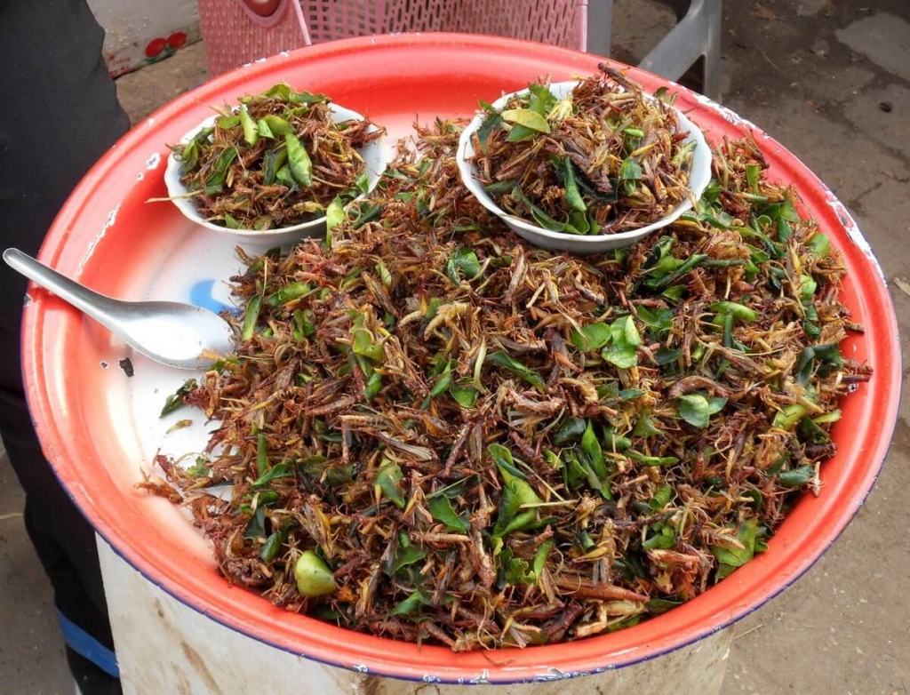 кузнечики на тарелке на рынке таиланда