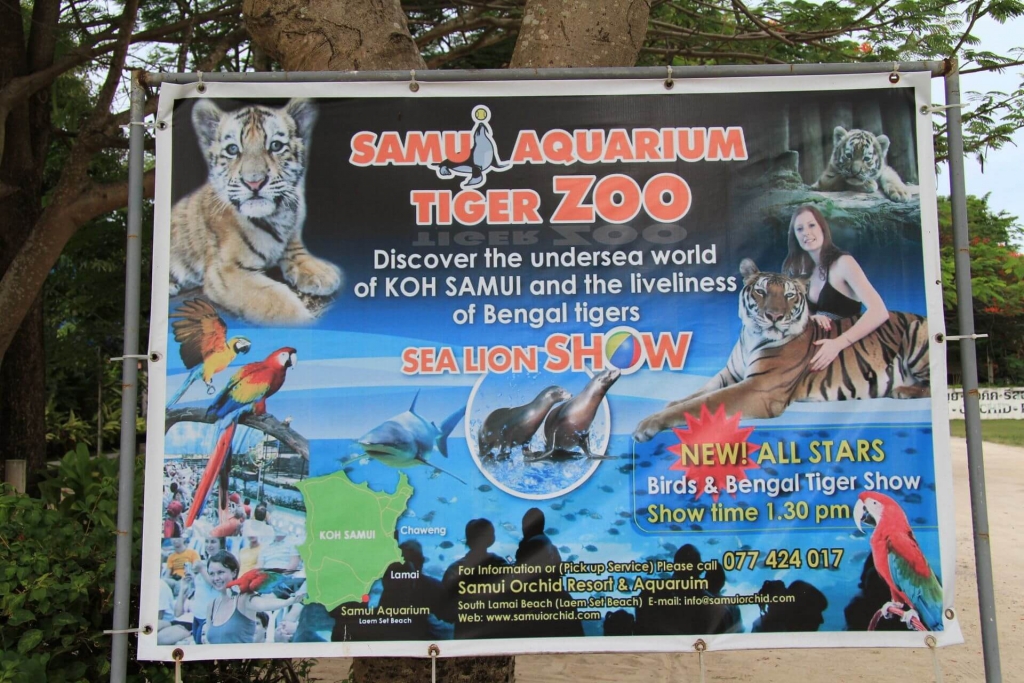 самуи аквариум самуи и тигровый зоопарк