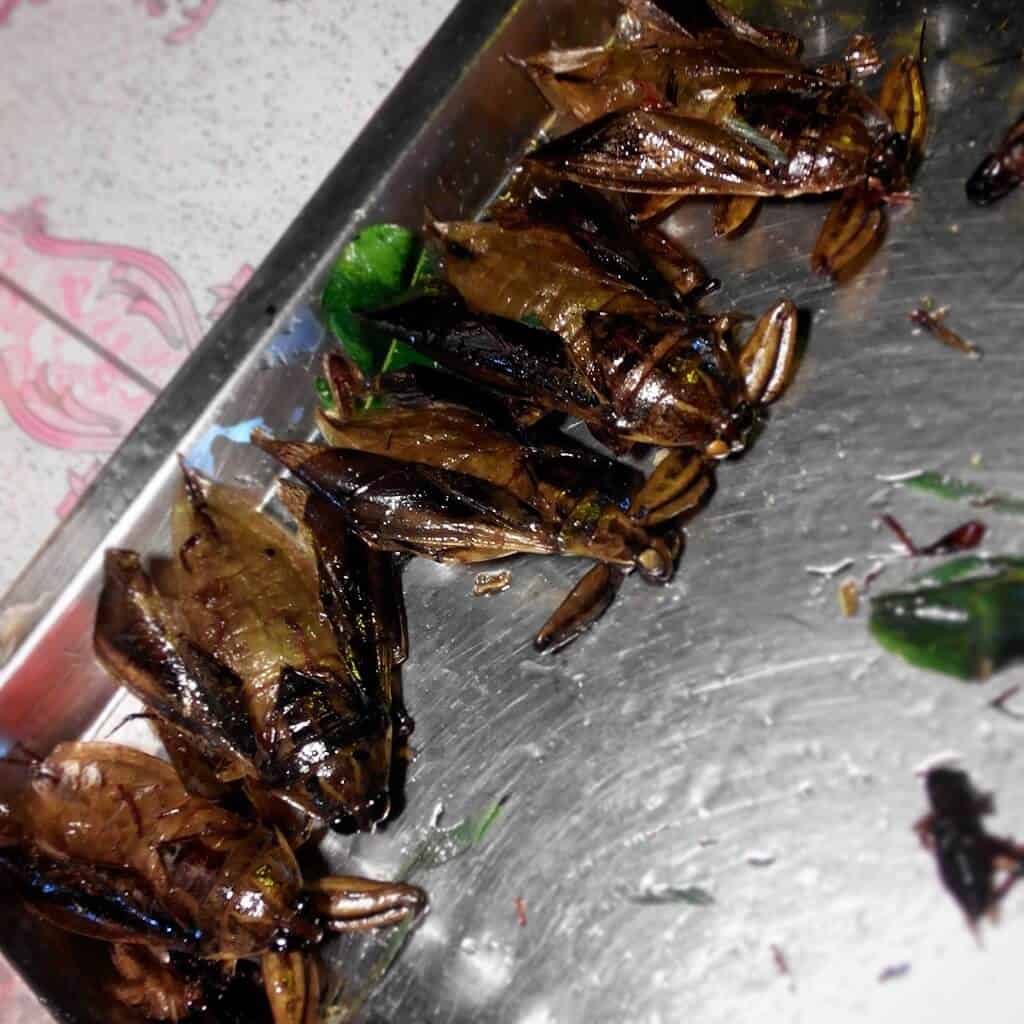 тараканы на рынке в Таиланде