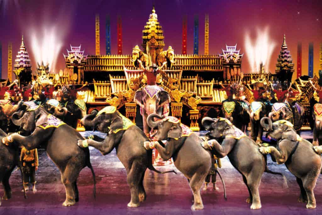 Сиам Нирамит со слонами